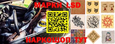 гидропоника Кунгур