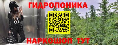 гидропоника Кунгур