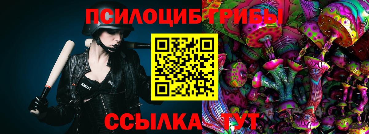 Псилоцибиновые грибы мицелий Сергиев Посад